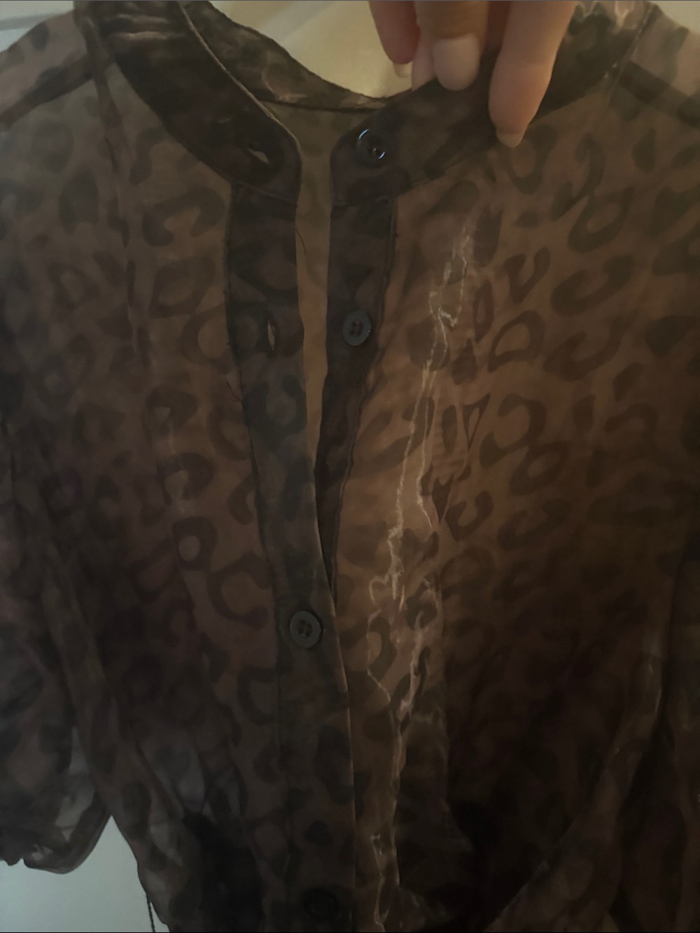 Sheer Brown Leopard Print Puff-Sleeve Dress - Picture 4 of 6